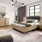 Wardrobe ARCO 220 Oak Artisan / Grey