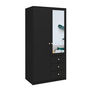 Wardrobe HUDSON D2 Black + Mirror